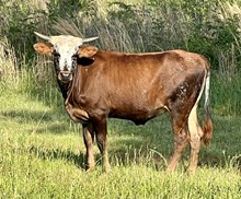 RZSJ X PPR SUMMER SPLASH