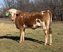 LRR Southern Innovations